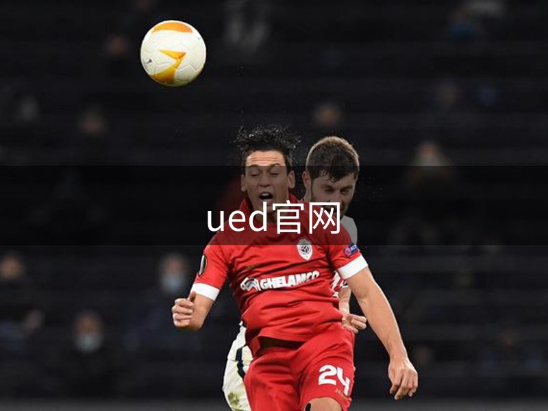 网站介绍
